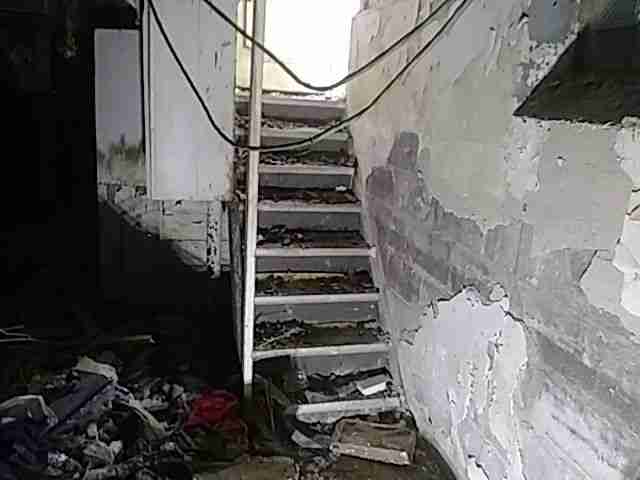 Testing again(27).jpg